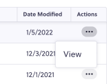 Actions_Menu.png