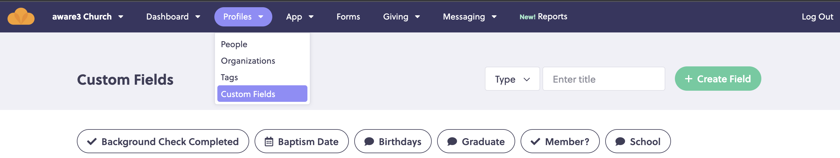 Custom_Fields.png